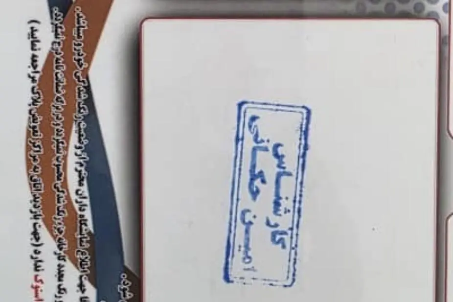 پژو،  207