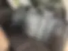 لاماری  ایما