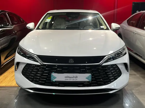 بی وای دی، چین ال DMi