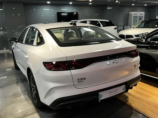 بی وای دی، چین ال DMi