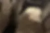 چانگان  CS 55 پلاس
