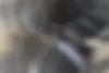 رنو  کپچر