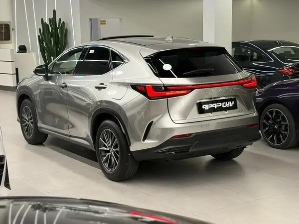 لکسوس  NX