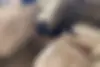 بنز،  کلاس S