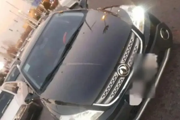 دانگ فنگ، H30 کراس