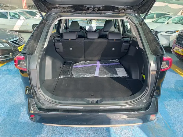 تویوتا، وایلدلندر