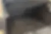 رنو  کپچر