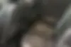 رنو  کپچر