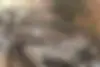 لیفان  820