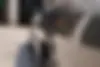 هوندا  آکورد