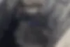 کیا  سراتو (مونتاژ)
