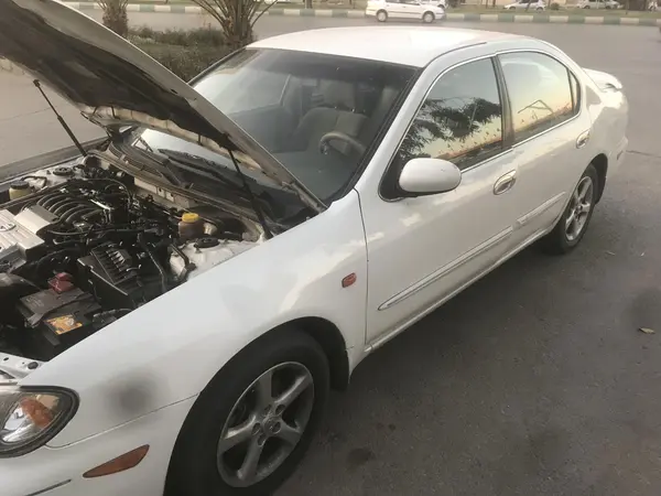 نیسان، ماکسیما