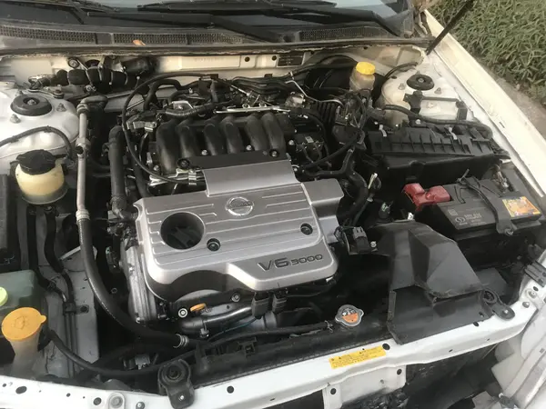 نیسان، ماکسیما