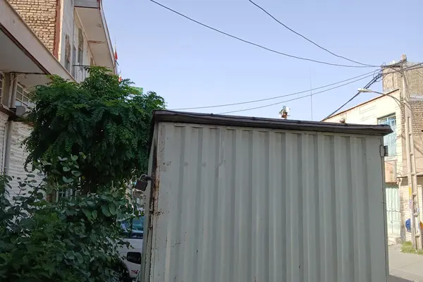 پیکان، وانت