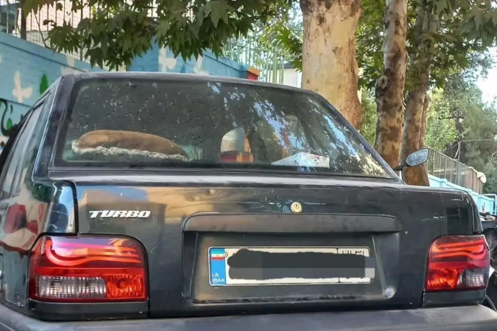 پراید  صندوق دار