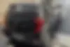 کیا،  پیکانتو