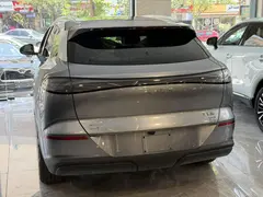بی وای دی، سی لاین 06 DMi