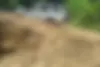 نیسان  پاترول چهار در