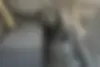 پراید،  صندوق دار