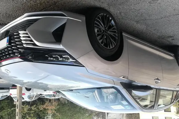 دانگ فنگ، شاین مکس