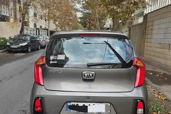کیا  پیکانتو
