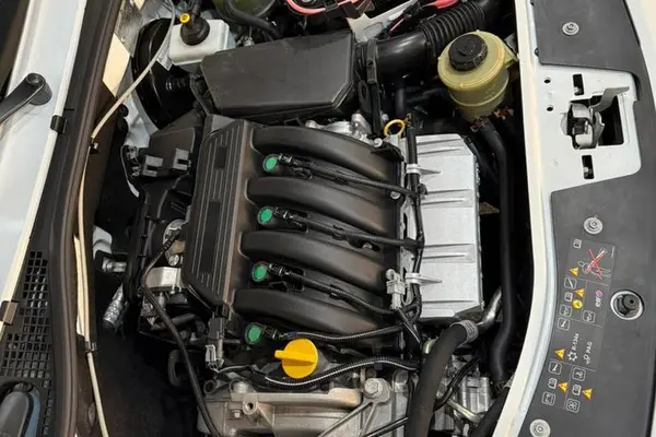 رنو، ساندرو