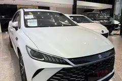 بی وای دی، چین ال DMi