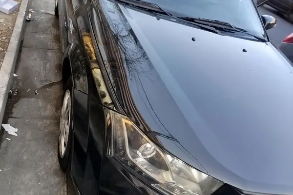 دنا، معمولی