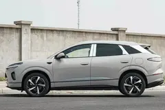 بی وای دی، سی لاین 06 DMi