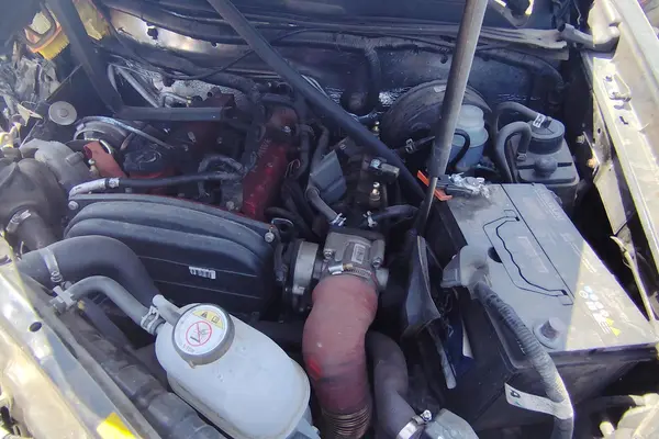 دایون، Y5 پلاس