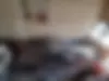 زامیاد،  اکستند EX