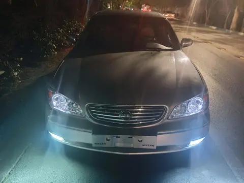 نیسان، ماکسیما