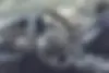 کی ام سی،  X5