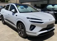 بی وای دی، سی لاین 06 DMi