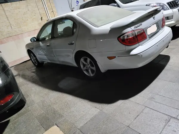 نیسان، ماکسیما