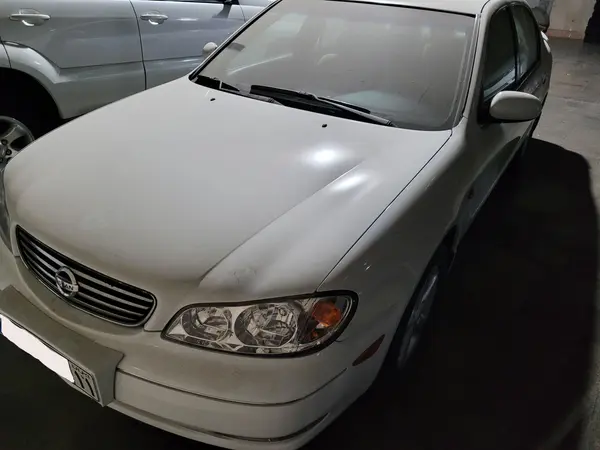 نیسان، ماکسیما