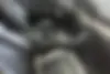 کیا  K5
