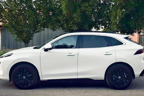 لاماری، ایما