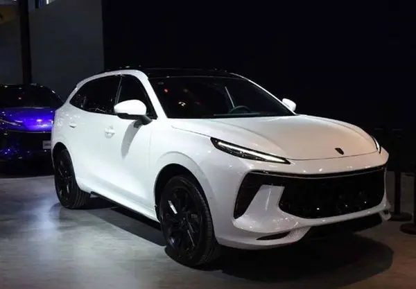 لاماری، ایما