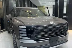 هیوندای، پالیسید