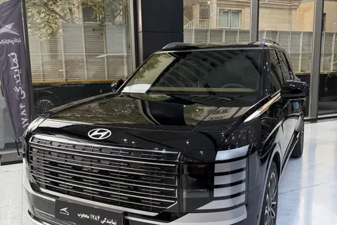 هیوندای، پالیسید