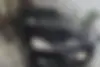 کیا،  کادنزا