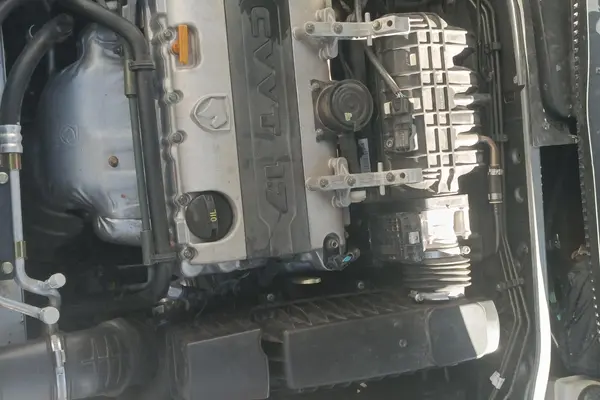 دنا، معمولی