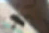 برلیانس،  H330