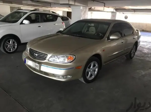 نیسان، ماکسیما