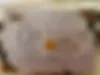 ام وی ام،  X22