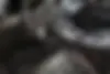 لاماری  ایما