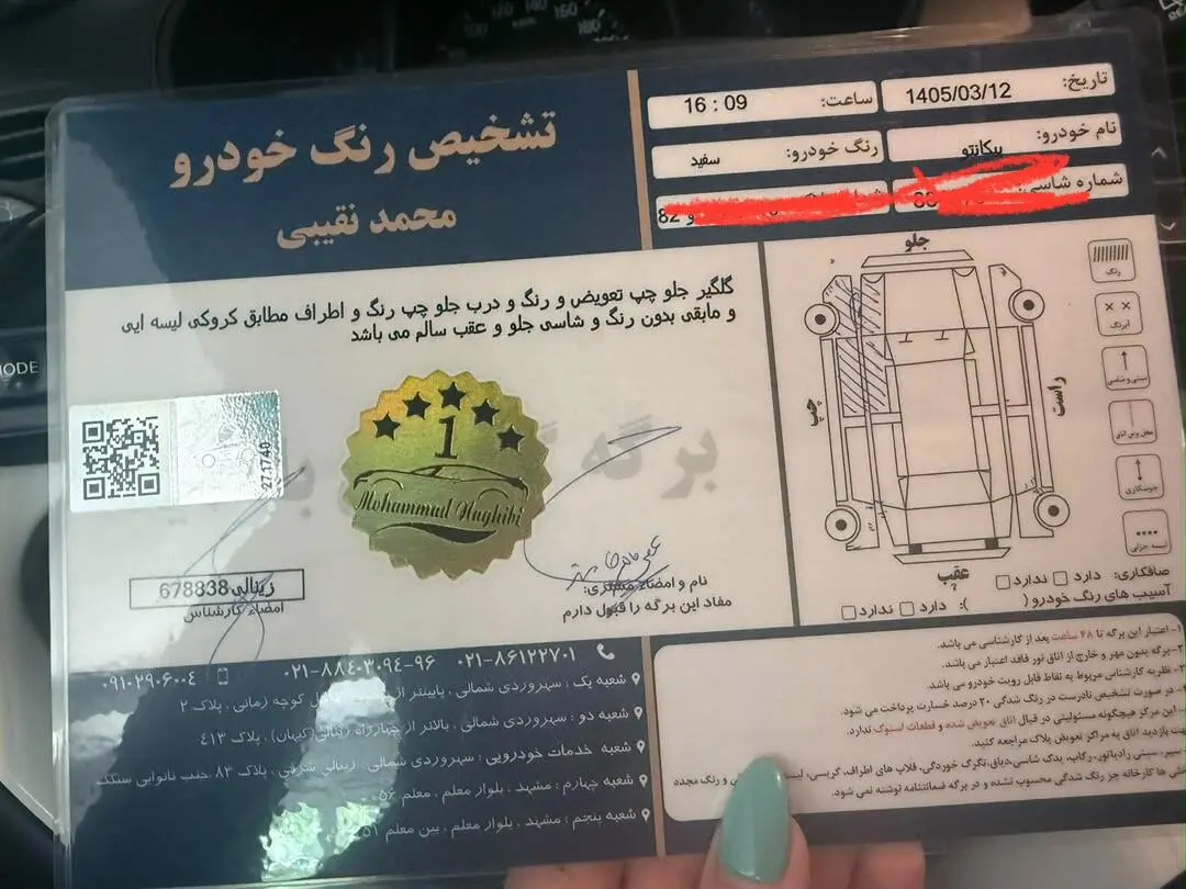 کیا،  پیکانتو