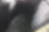 دنا  پلاس EF7P