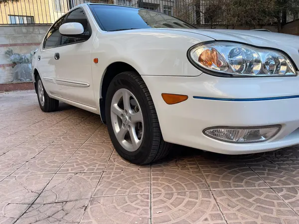 نیسان، ماکسیما